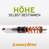 LoonyTuns StreetSport Gewindefahrwerk Audi A1 (8X) ab Bj. 09 Achslast VA 901-960Kg